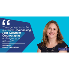 Shielding Your Network: Preparing for a Quantum-Safe Future Now
