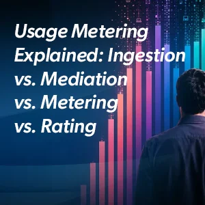 Usage Metering Explained: Ingestion vs. Mediation vs. Metering vs. Rating