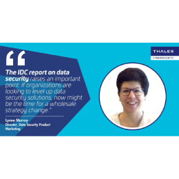 The Power of the Platform: Data Security at its Best