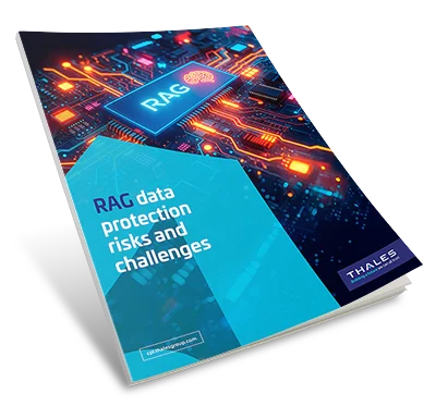 RAG Data Protection Risks and Challenges - Brochure
