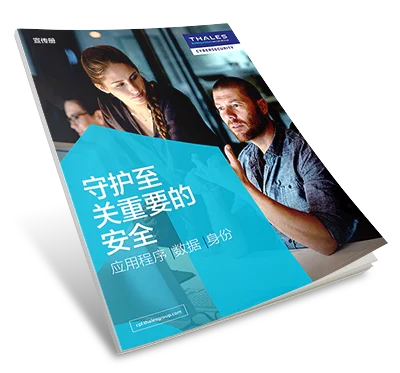 守护至关重要的安全 - 宣传册