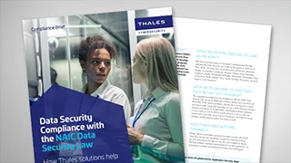 Data Security Solutions for NAIC Compliance