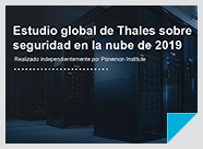 2019 Thales Global Cloud Security Study Presentation - Data Sheet