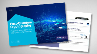 Post-Quantum Cryptography - eBook