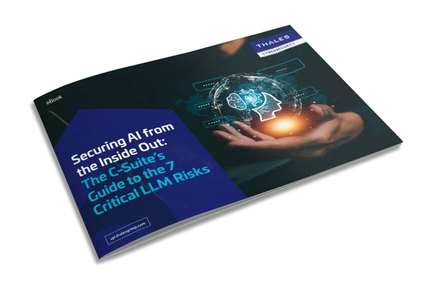 7 Critical LLM Risks for AI Security - eBook