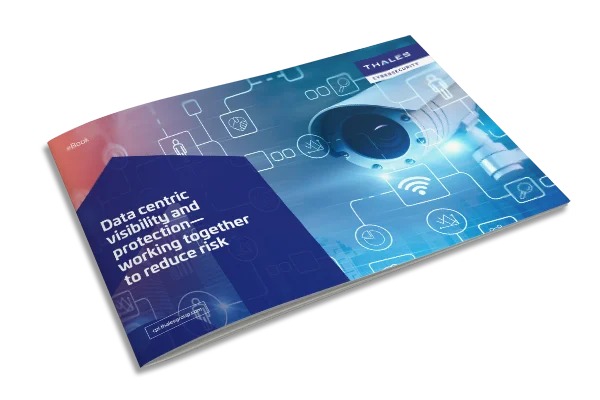 Data Centric Visibility and Protection to Reduce Risk - eBook