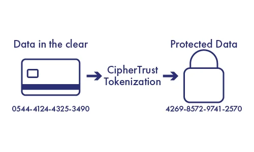 ciphertrust tokenization overview diagram