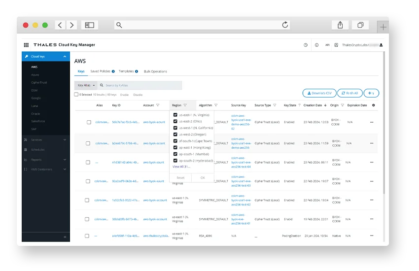 CipherTrust Cloud Key Manager CipherTrust Cloud Key Manager