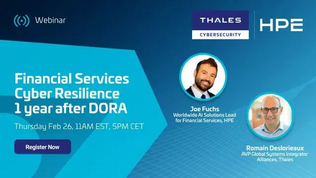 Financial Services Cyber Resilience 1 year after DORA