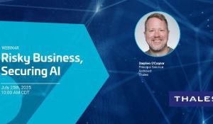 Risky Business  Securing AI