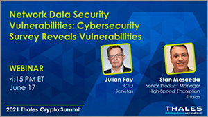 ネットワークデータセキュリティの脆弱性：サイバーセキュリティ調査で脆弱性が明らかに