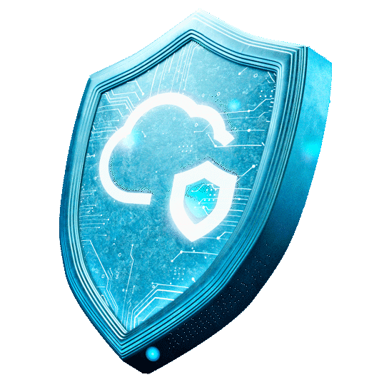 Security for What Matters Most