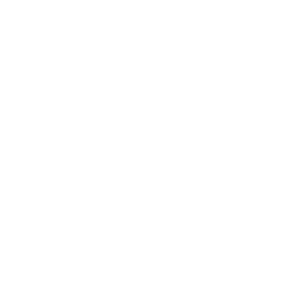 Thales RAG AI Data Protection Solutions