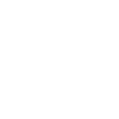 Frictionless Biometric Experience for better Adoption Frictionless Biometric Experience for better Adoption