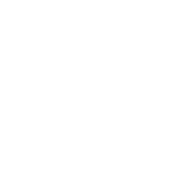 Identification Identification