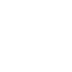 Software Protection & Monetization