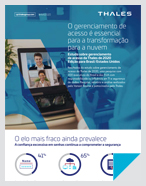 Estudo sobre gerenciamento de acesso da Thales de 2020 Edição para Brasil/Estados Unidos - Infográfico