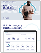 Your Data Their Cloud - Infographic