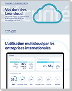 Étude Thales Cloud Security 2021 – Infographie
