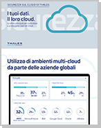 I tuoi dati. Il loro cloud. - Infographic