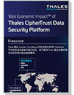 Thales CipherTrust Data Security Platform - Infographic