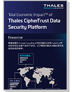 Total Economic Impact of Thales CipherTrust Data Security Platform