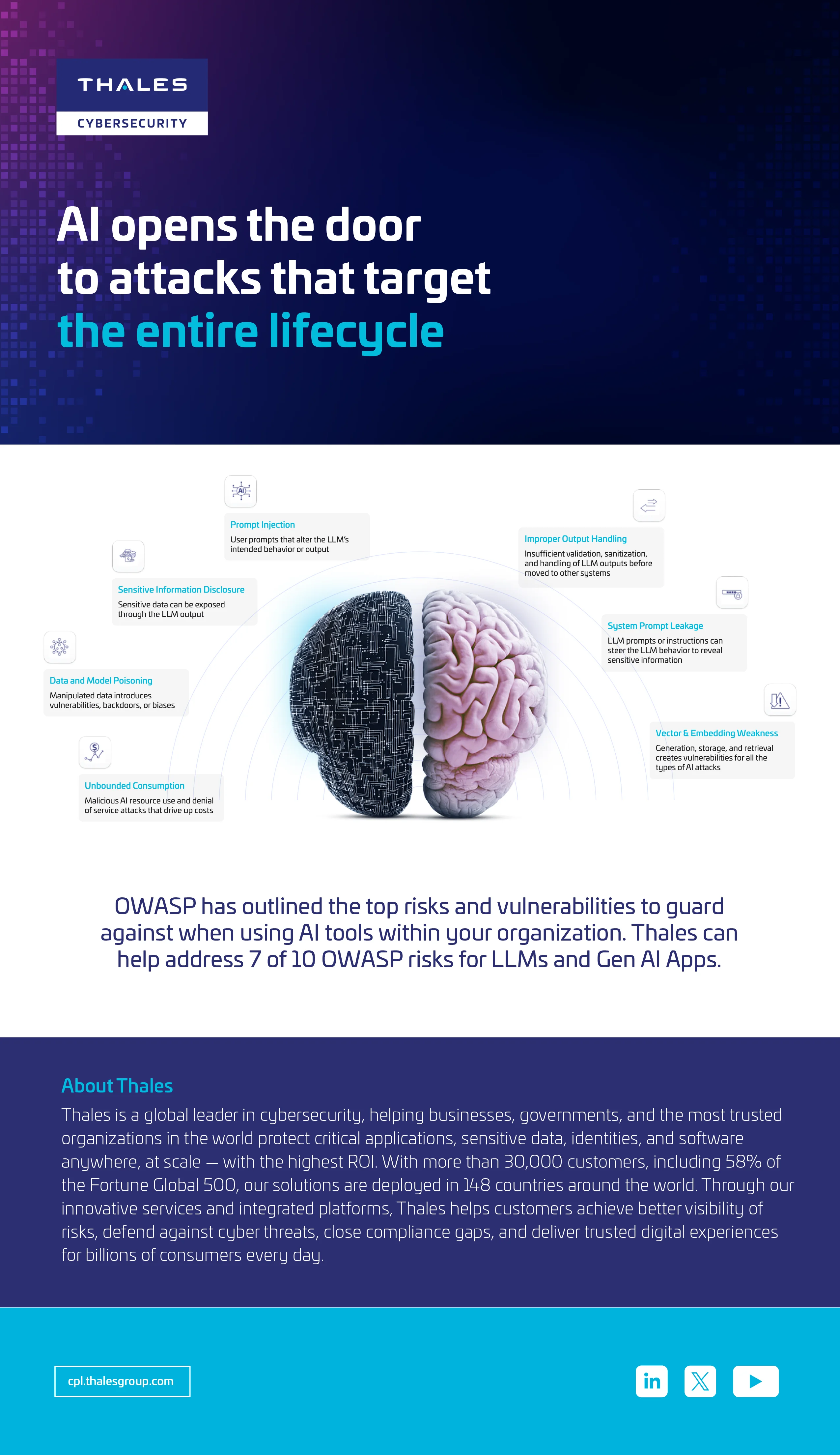 Secure Your AI: Understand and Mitigate the Top LLM Risks
