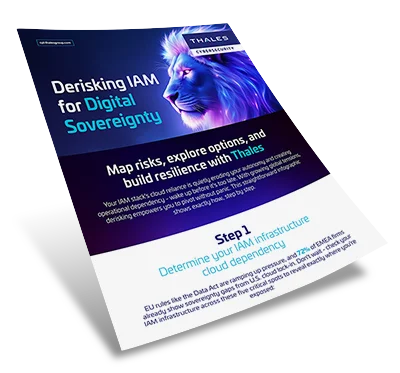 Derisking IAM for Digital Sovereignty - Infographic