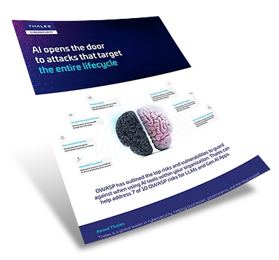 Mitigate Top OWASP LLM Risks Infographic Thumbnail