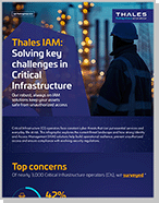 Solving IAM Challenges in Critical Infrastructure - Infographic