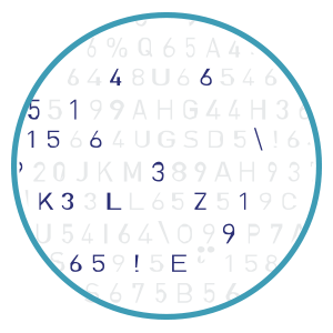 Data-Circle-Icon