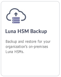 Luna HSM Backup
