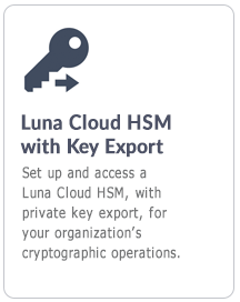 HSM Cloud Luna con esportazione di chiavi
