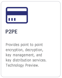 p2pe 기술 프리뷰