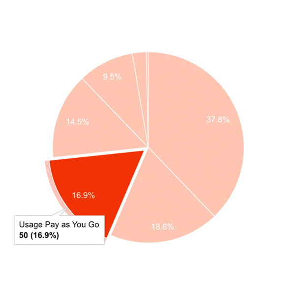 user based pricing