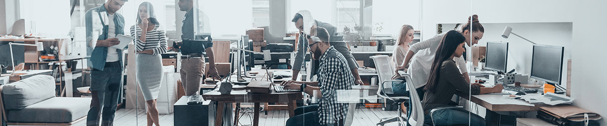 Software Monetization