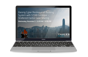Raising Cyber Resilience of Banking System with STDB Guideline