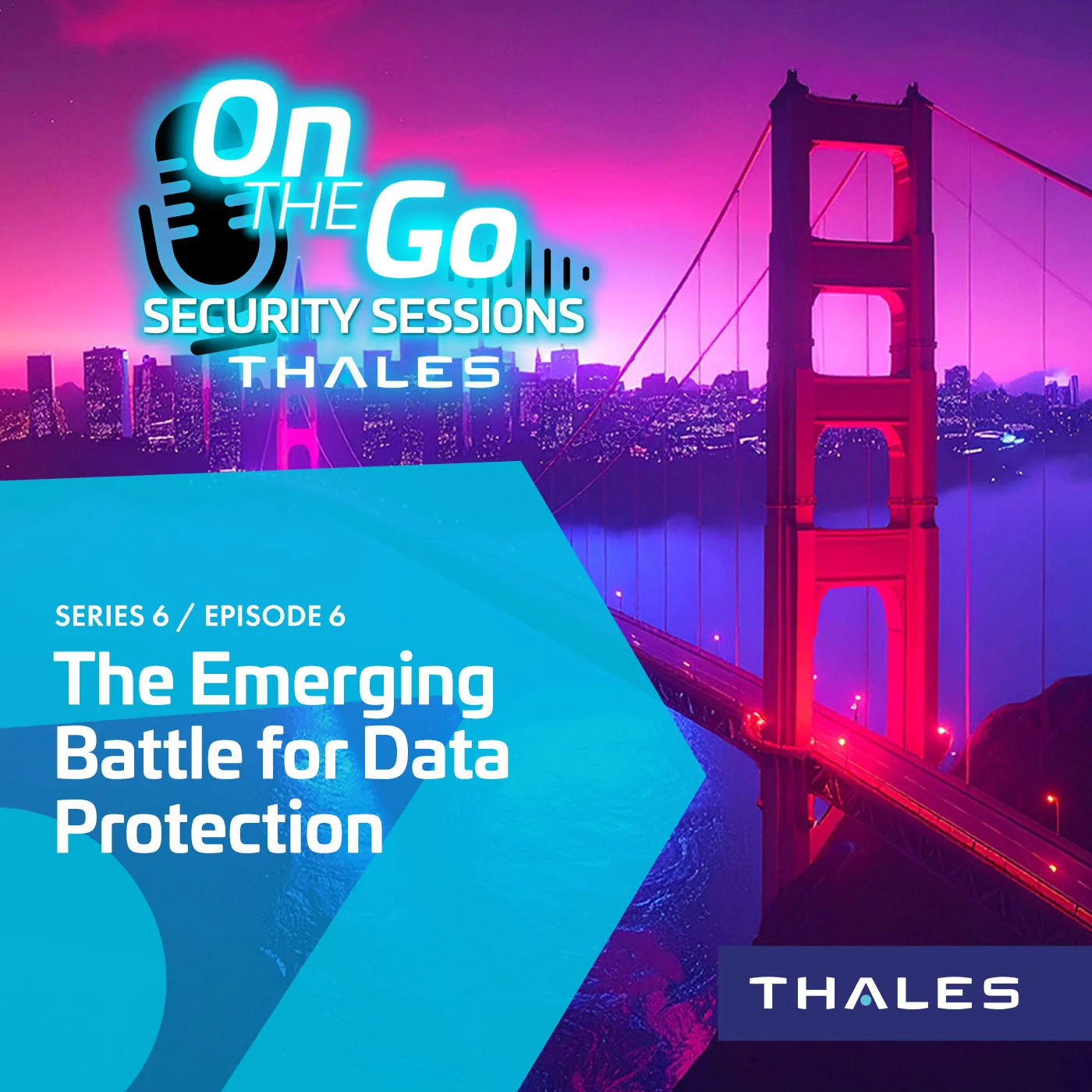 The Emerging Battle for Data Protection