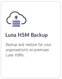 Backup für hybride Luna-HSMs