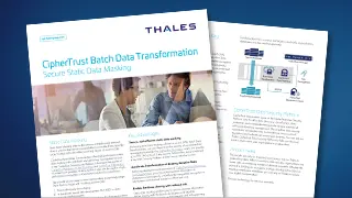 CipherTrust RESTful Data Protection - Product Brief