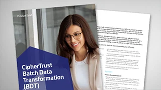 CipherTrust Batch Data Transformation - Product Brief