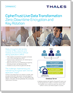 CipherTrust Live Data Transformation – Product Brief