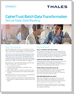 CipherTrust Batch Data Transformation - Product Brief