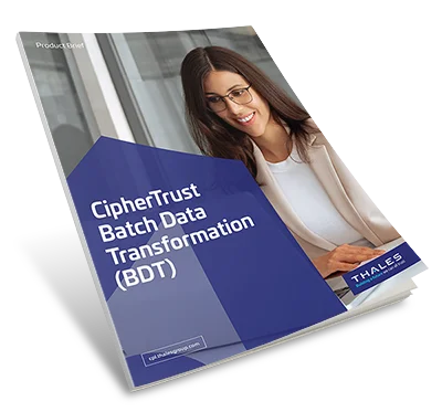 CipherTrust Batch Data Transformation - Product Brief