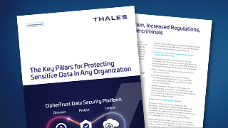 The Key Pillars for Protecting Sensitive Data in Any Organization