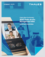 2020 Access Management Index - United States & Brazil Edition - Executive Summary
