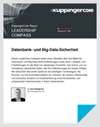 Datenbank- und Big-Data-Sicherheit - Report