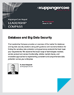 Database and Big Data Security - Report