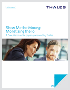 monetize the IOT