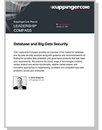 Database and Big Data Security - Report